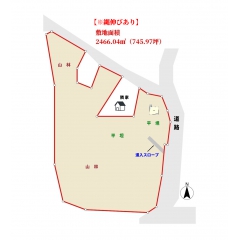 間取り写真