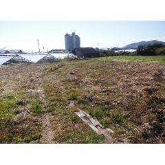 南房総市和田町花園の物件詳細｜南房総市和田町花園　1197.9万円【房総不動産ネットワーク】【外観2】