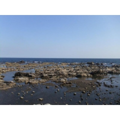 鴨川市江見太夫崎の物件詳細｜鴨川市江見太夫崎　630万円【房総不動産ネットワーク】【外観4】