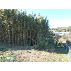 館山市佐野の物件詳細｜別荘分譲地ラコスタ館山【房総不動産ネットワーク】【外観9】