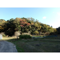 南房総市中の物件詳細｜開拓から始めるMY山林【房総不動産ネットワーク】【外観9】