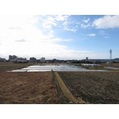 鴨川市東町の物件詳細｜南向きで日当たり良好！高台から鴨川の街並みを望む住環境！【房総不動産ネットワーク】【外観10】