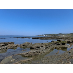 館山市波左間の物件詳細｜館山海浜エリア４９７坪【房総不動産ネットワーク】【外観2】