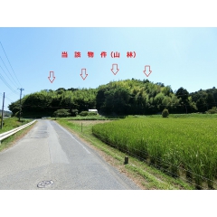館山市竹原の物件詳細｜里山に癒され緑と戯れる　【房総不動産ネットワーク】【外観10】