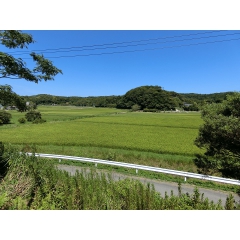 館山市竹原の物件詳細｜里山に癒され緑と戯れる　【房総不動産ネットワーク】【外観2】
