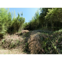 館山市竹原の物件詳細｜里山に癒され緑と戯れる　【房総不動産ネットワーク】【外観8】