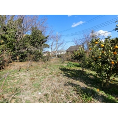 館山市加賀名の物件詳細｜館山ポピーランド内の戸建てです　２１６坪の広い庭が特徴【房総不動産ネットワーク】【外観2】